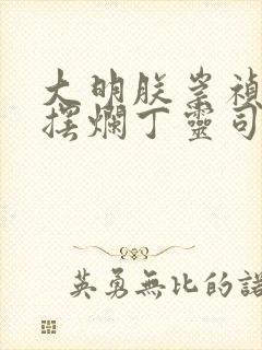 大明朕崇祯只想摆烂丁灵司免费阅读封面