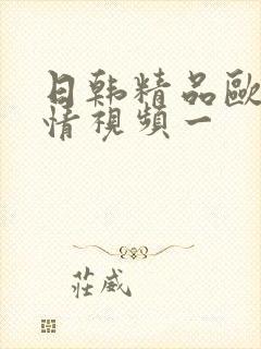 日韩精品欧美激情视频一封面