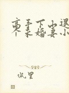 高手下山退婚九个未婚妻小说阅读