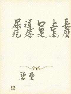 尿道口上长了小疙瘩是怎么回事