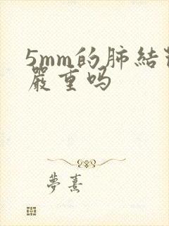 5mm的肺结节严重吗