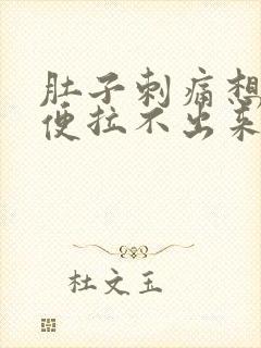 肚子刺痛想拉大便拉不出来