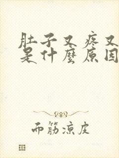 肚子又疼又拉稀是什么原因