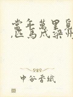 当年万里觅封侯,匹马戍梁州封面