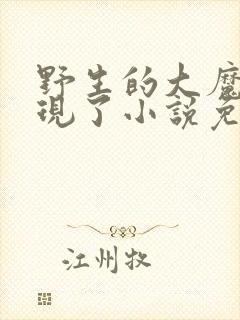 野生的大魔王出现了小说免费阅读