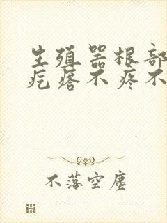 生殖器根部有小疙瘩不疼不痒