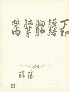 双肺胸膜下散在肉芽肿结节封面