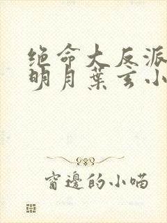 绝命大反派澹台明月叶玄小说封面