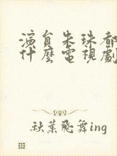 演员朱珠都演过什么电视剧