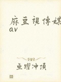 麻豆视传媒精品av