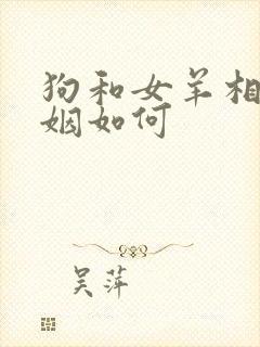 狗和女羊相配婚姻如何