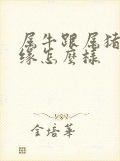 属牛跟属猪的姻缘怎么样封面