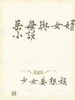 岳母与女婿相爱小说