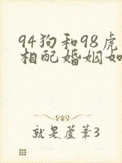 94狗和98虎相配婚姻如何