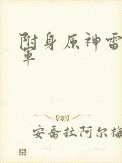 附身原神雷电将军