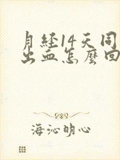 月经14天同房出血怎么回事封面