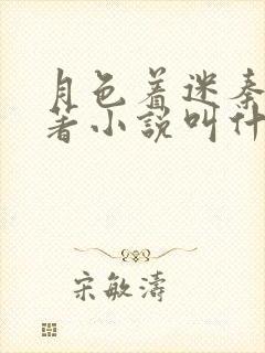 月色着迷秦岸原著小说叫什么