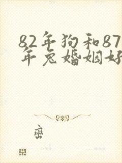 82年狗和87年兔婚姻好不好封面