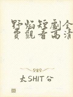 野焰短剧全集免费观看高清