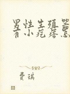 男性生殖器根部有小疙瘩怎么回事