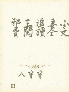 邪王追妻小说免费阅读全文无删减