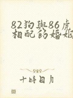 82狗与86虎相配的婚姻如何