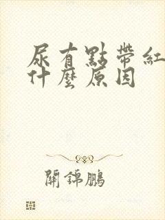 尿有点带红色是什么原因