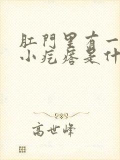 肛门里有一颗颗小疙瘩是什么东西封面