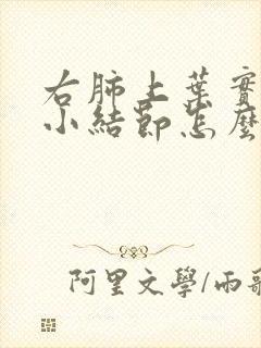 右肺上叶实性微小结节怎么办呢