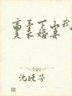 高手下山我的绝美未婚妻