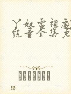 丫奴电视剧在线观看全集免费