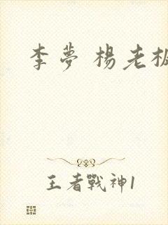 李梦 杨老板