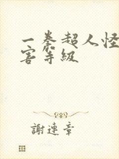 一拳超人怪人灾害等级封面