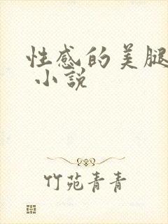 性感的美腿女神 小说