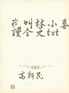 我叫林小喜全阅读全文txt