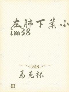 左肺下叶小结节im38