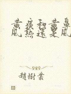 黄痰和黄鼻涕是风热还是风寒