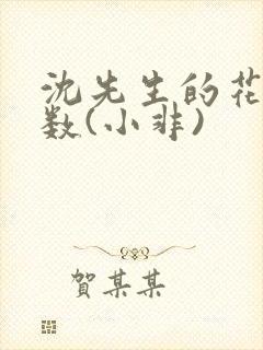 沈先生的花式调数(小非)