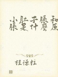 小肚子胀和肛门胀是什么原因