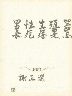 男性生殖器根部长疙瘩是怎么回事