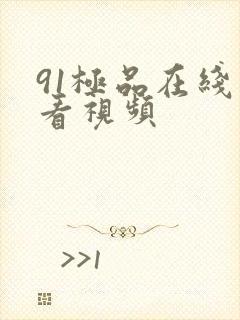 91极品在线观看视频