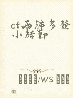 ct两肺多发微小结节封面