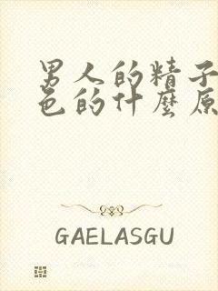 男人的精子是黄色的什么原因封面