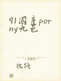 91国产porny九色