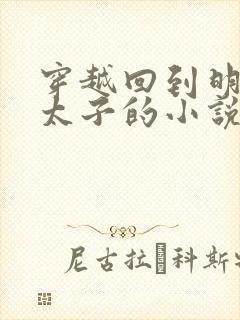 穿越回到明朝当太子的小说