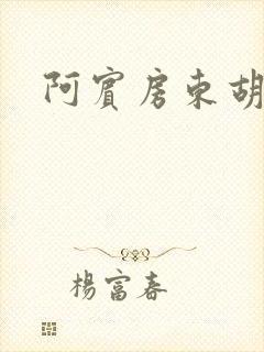 阿宾房东胡太太