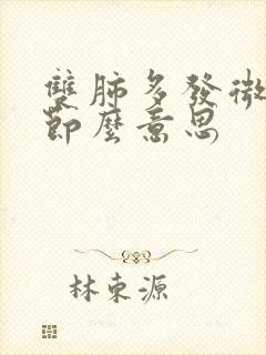 双肺多发微小结节么意思