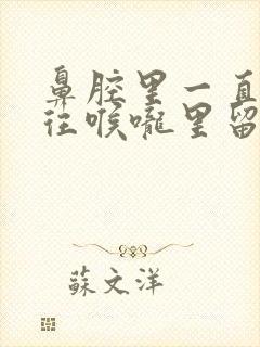 鼻腔里一直有痰往喉咙里留怎么办?