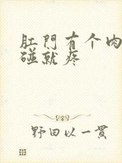 肛门有个肉球一碰就疼