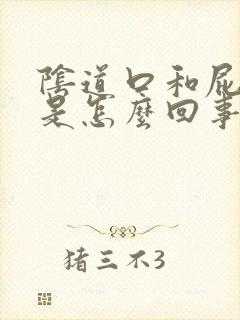 阴道口和屁眼痒是怎么回事